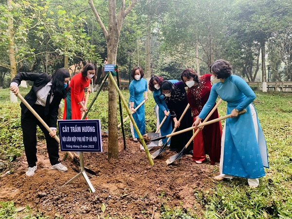 807aee4b9830576e0e21